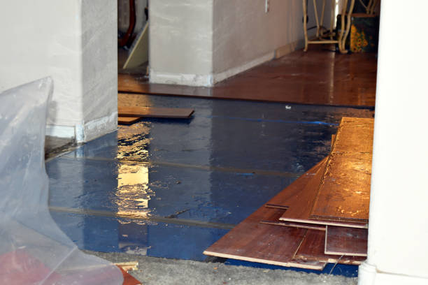Professional Water Damage Restoration technician working in Canoga Park, CA